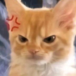 水清宝瓶
