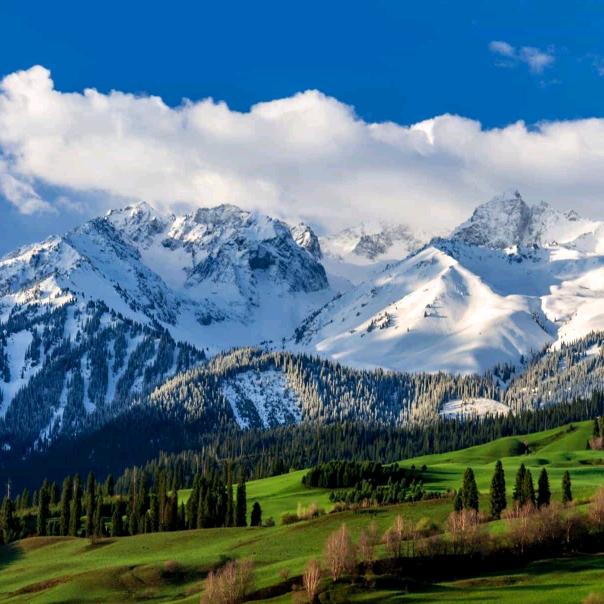 @专   *  利   *人