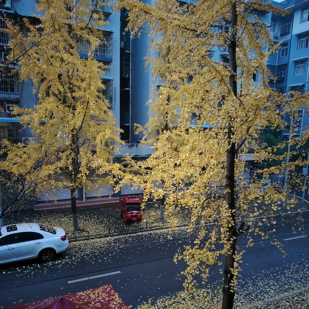 塔山 黄记特色风味大排档