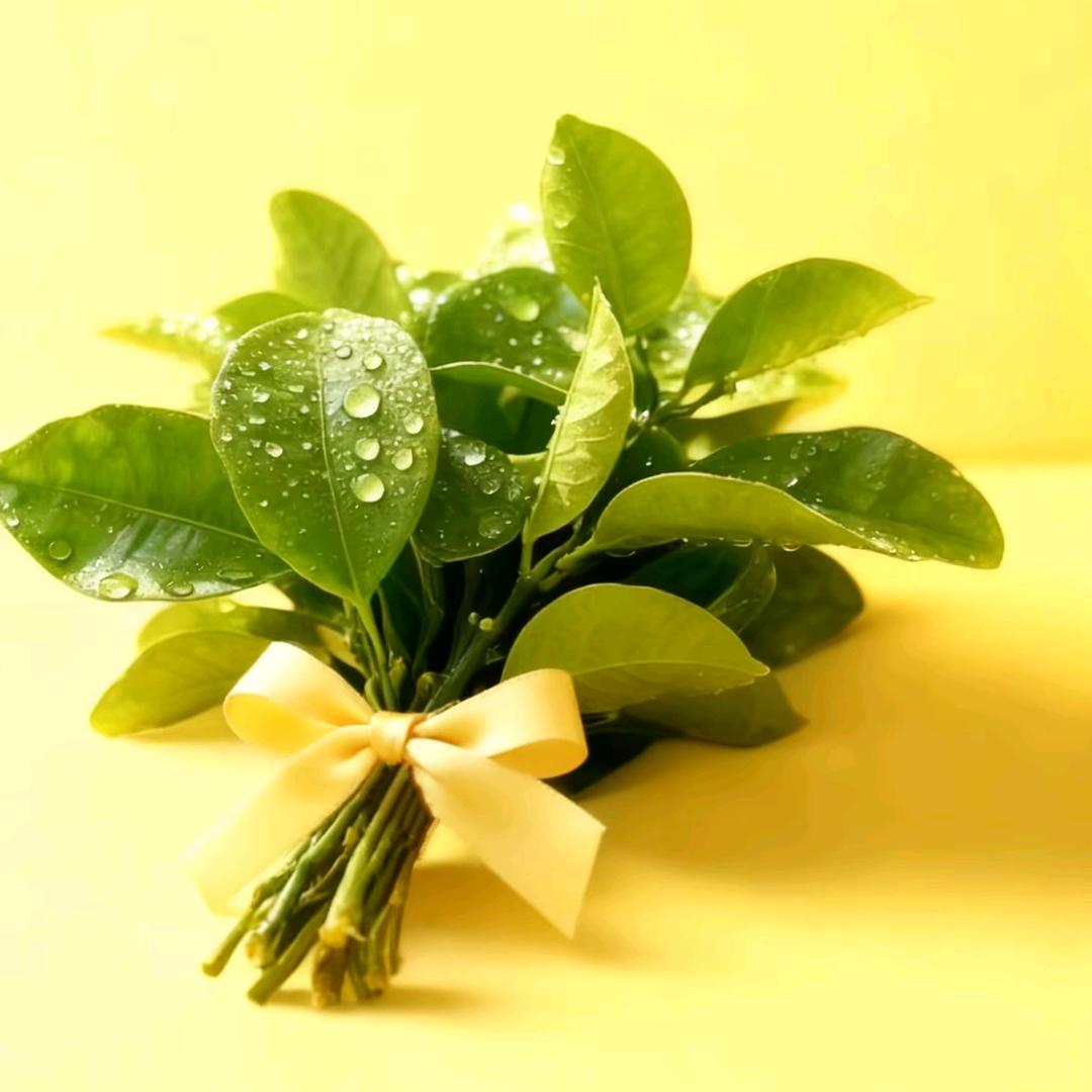 笑敬ᝰꫛ过往💞