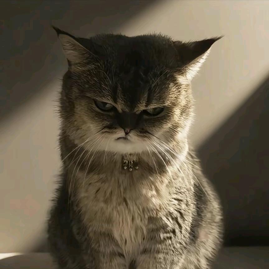 不务正业的老板娘