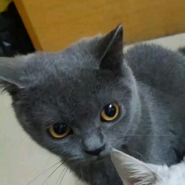 I am because you are