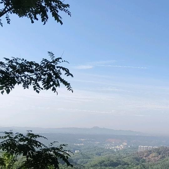 ^🌱💫小青新✨🌿^