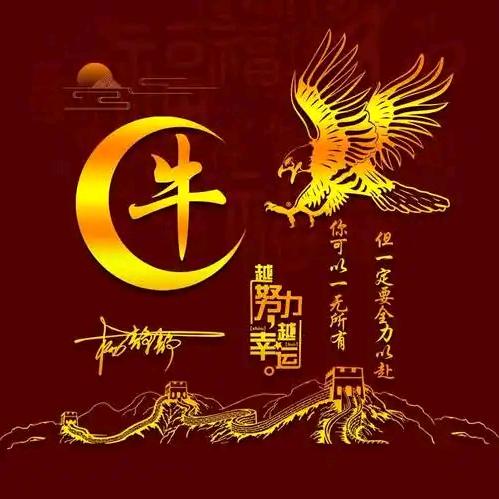 ᭄💞逆光錢行᭄💞