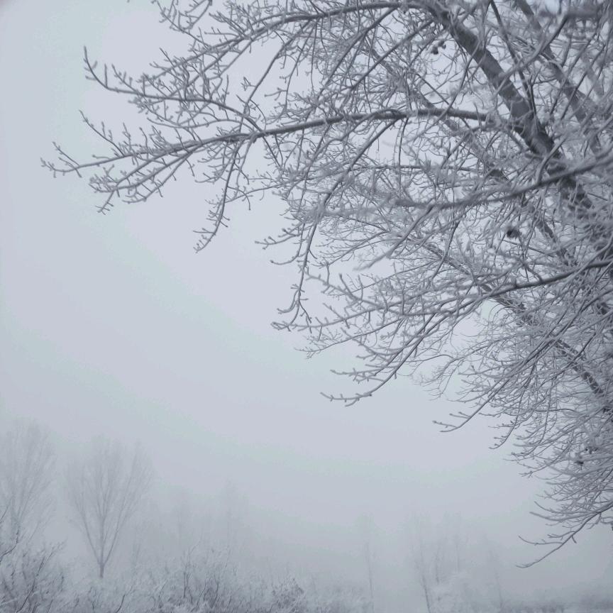 固安三中高二张老师