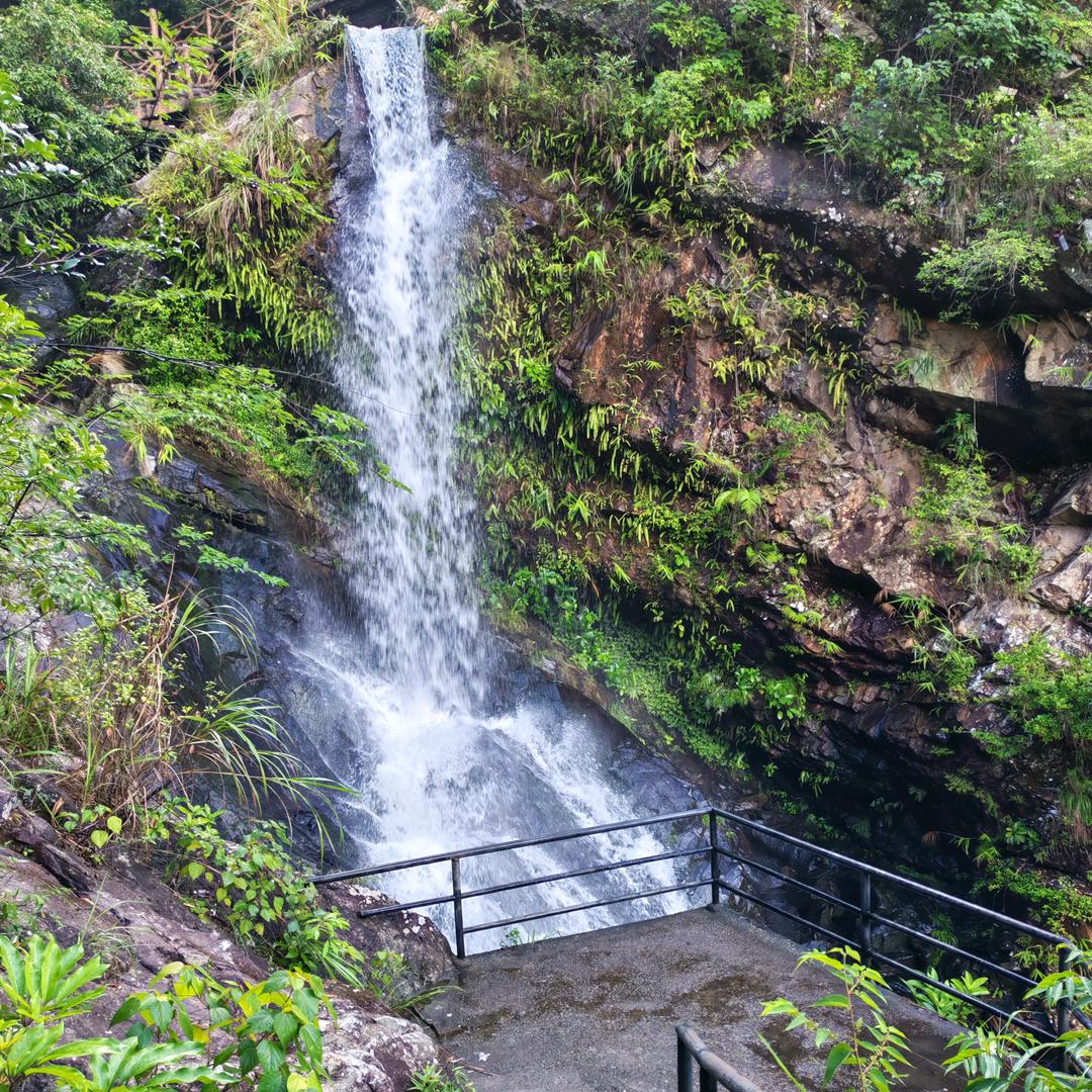 小马过河