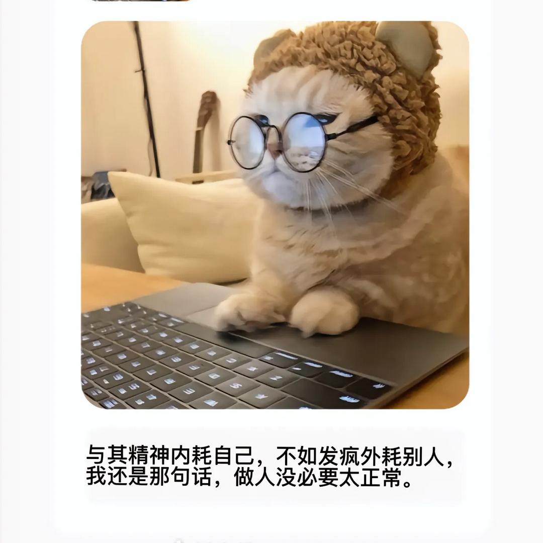 爱杉