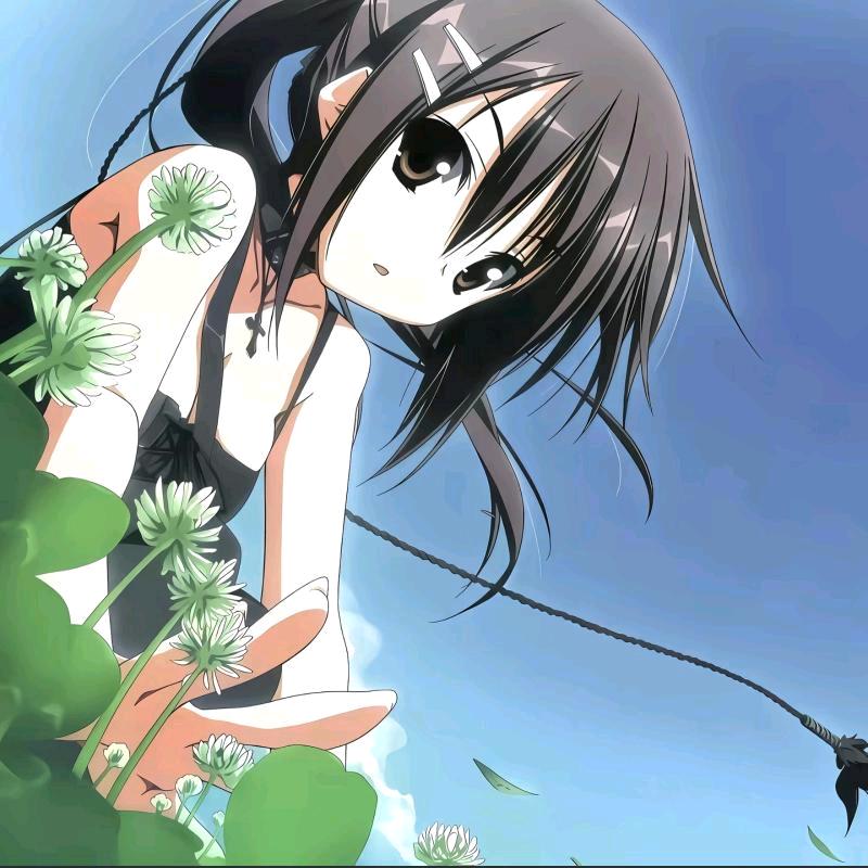 槐树