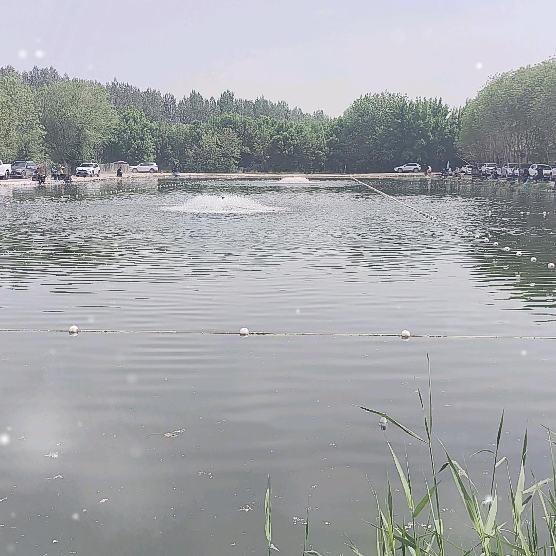 爱钓鱼的小趴菜