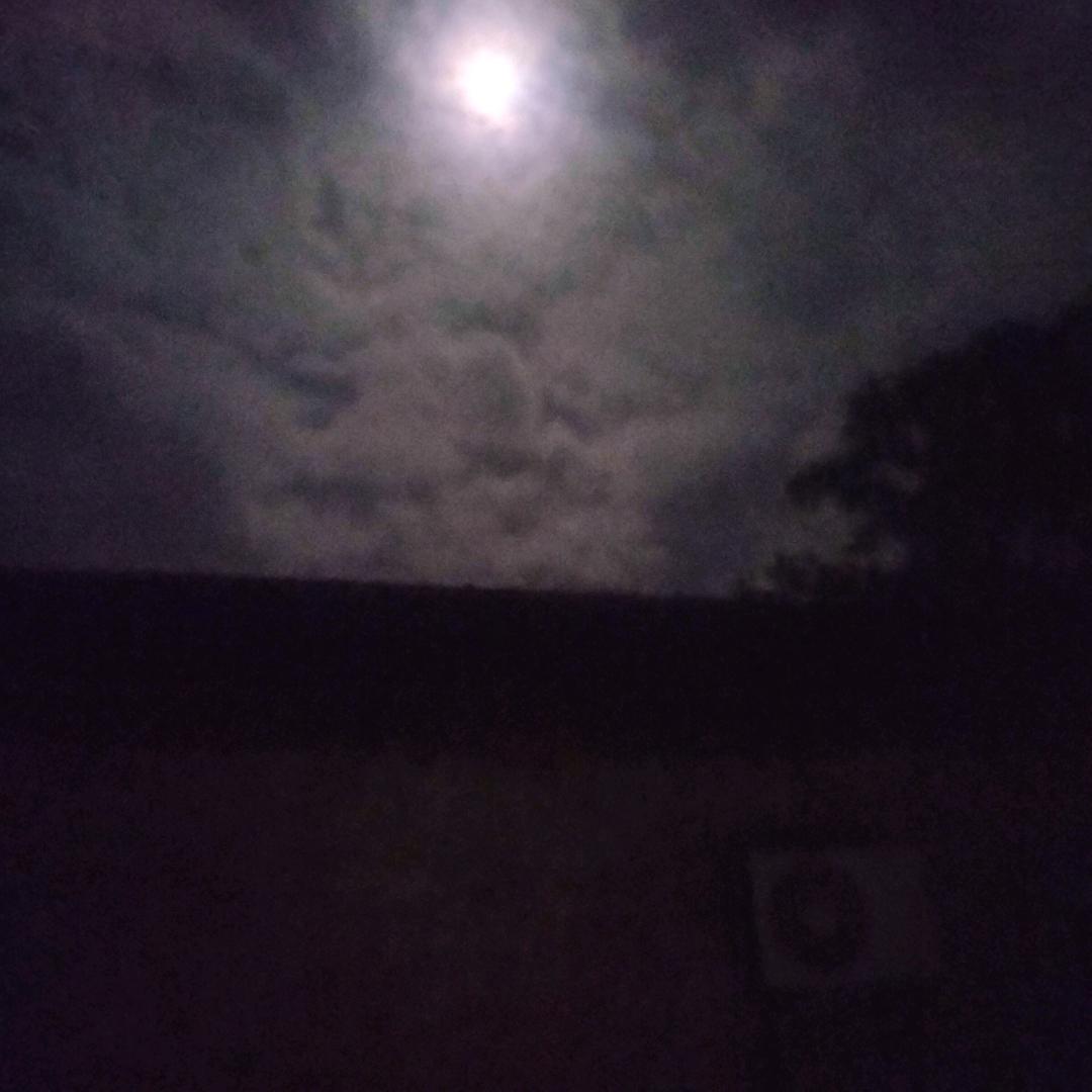 酱油白米饭