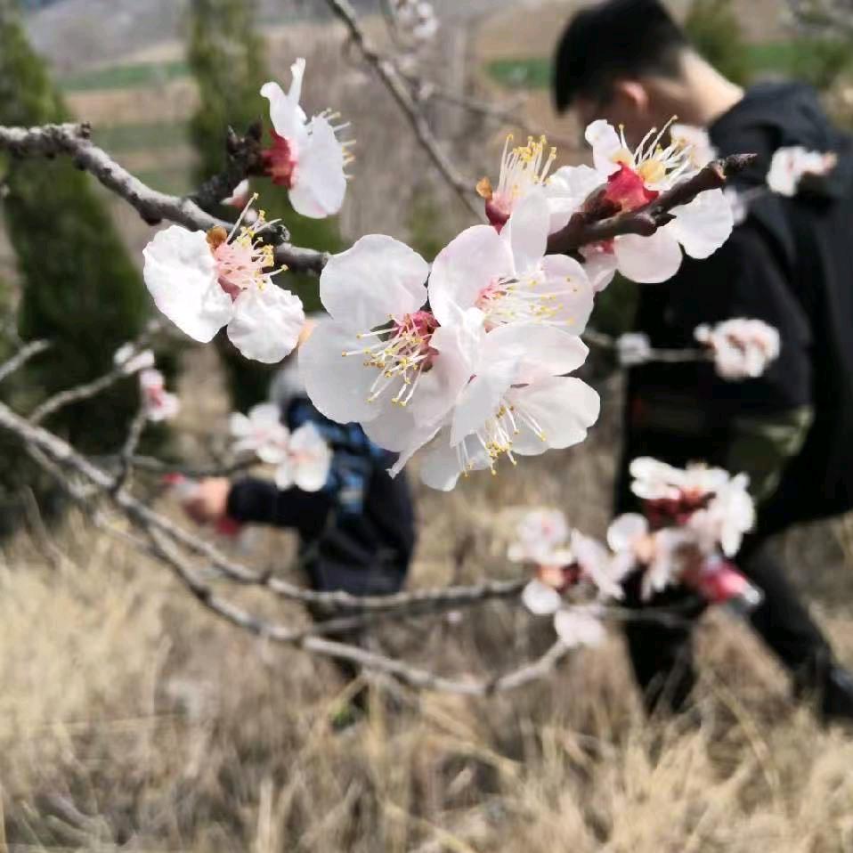 qiuyauu