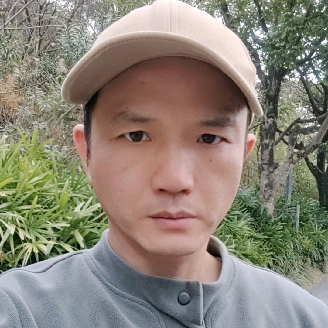 绿森林