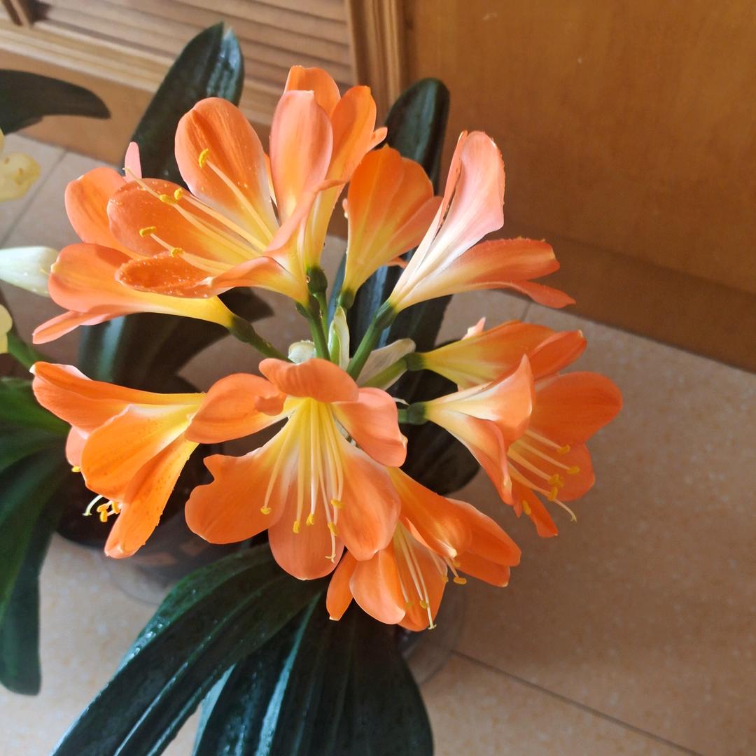 好运常伴钱景无限