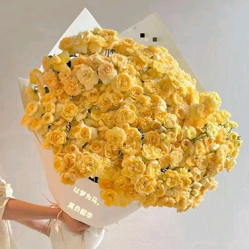 @晴❤️এ⁵²º