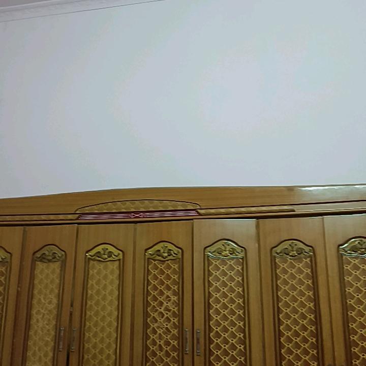 程宝