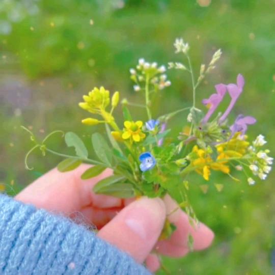 二姑娘.纯粮散酒