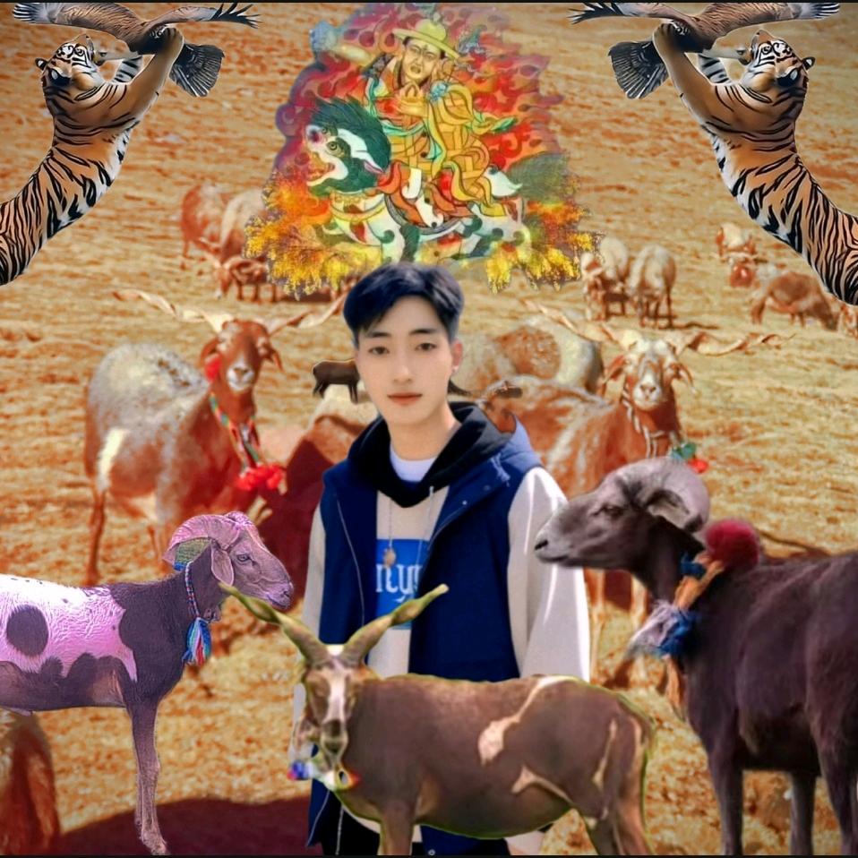 喜欢父母真心的