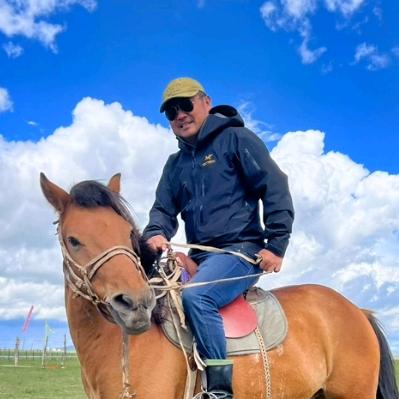 老马草原直播精选