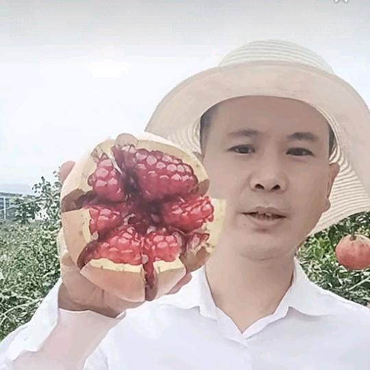 丰源农业优品