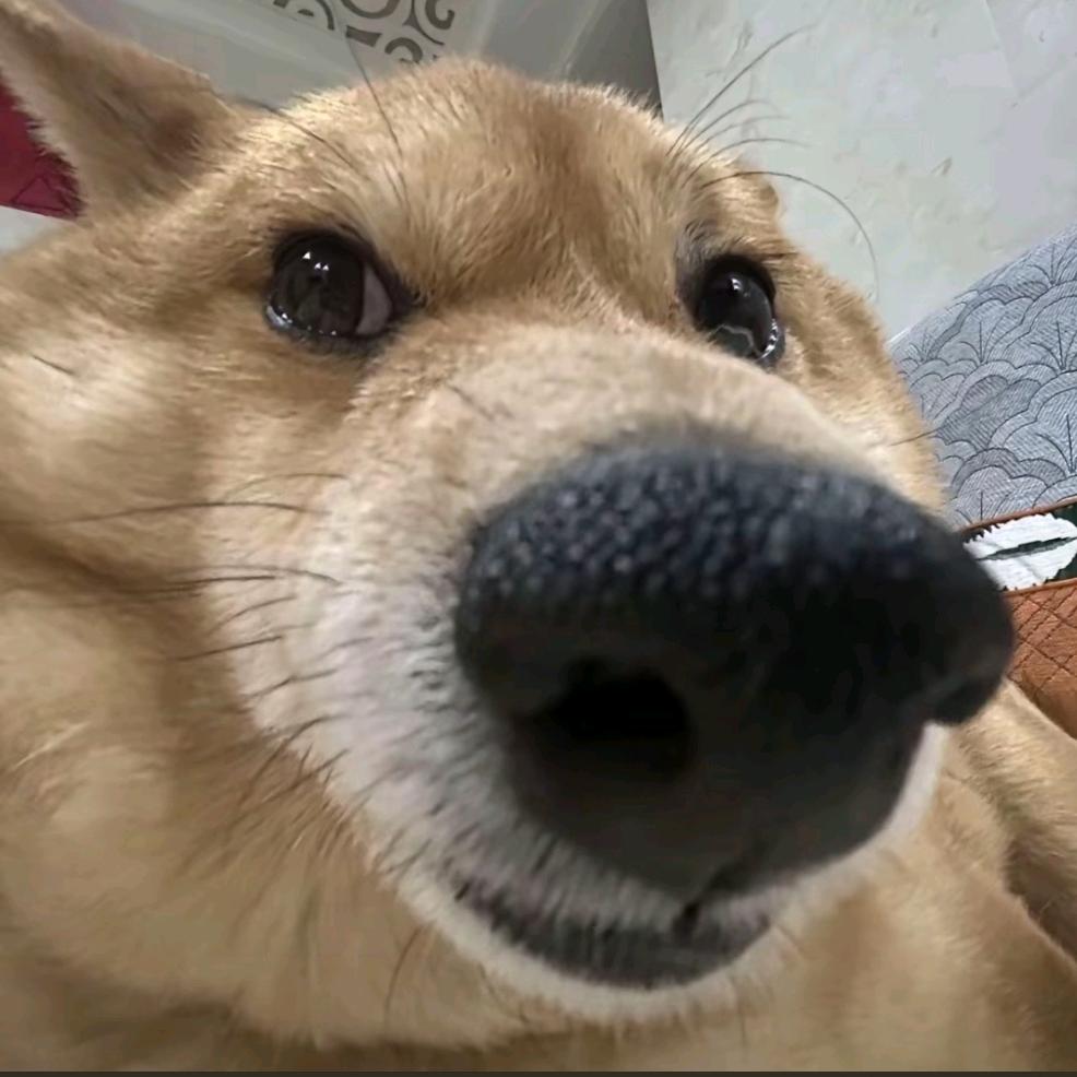 霾
