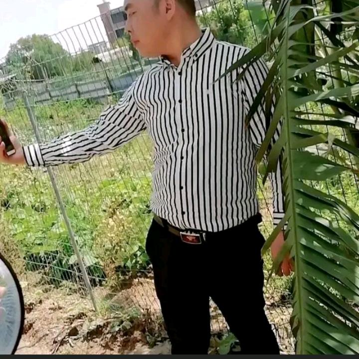 我姓华