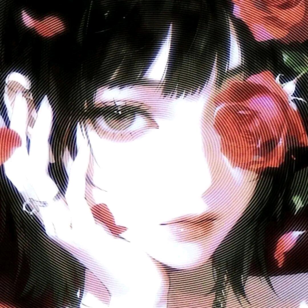 林屿风🍮