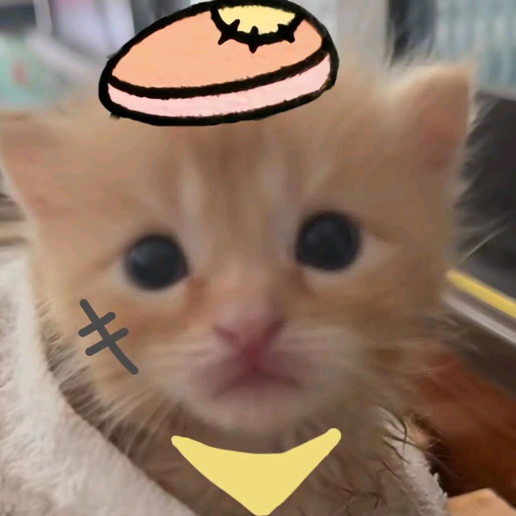 =