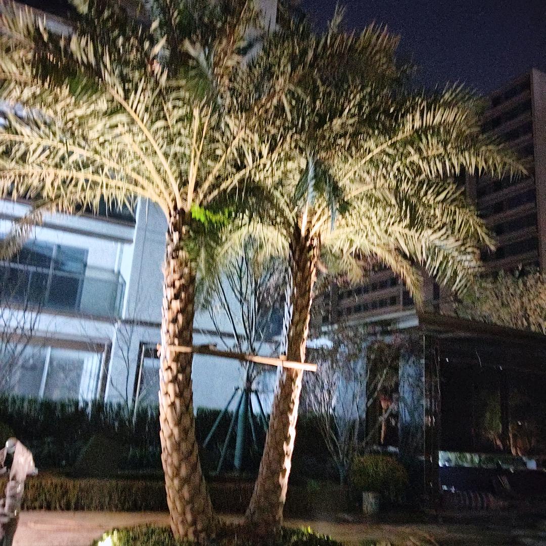 千里之外难相见