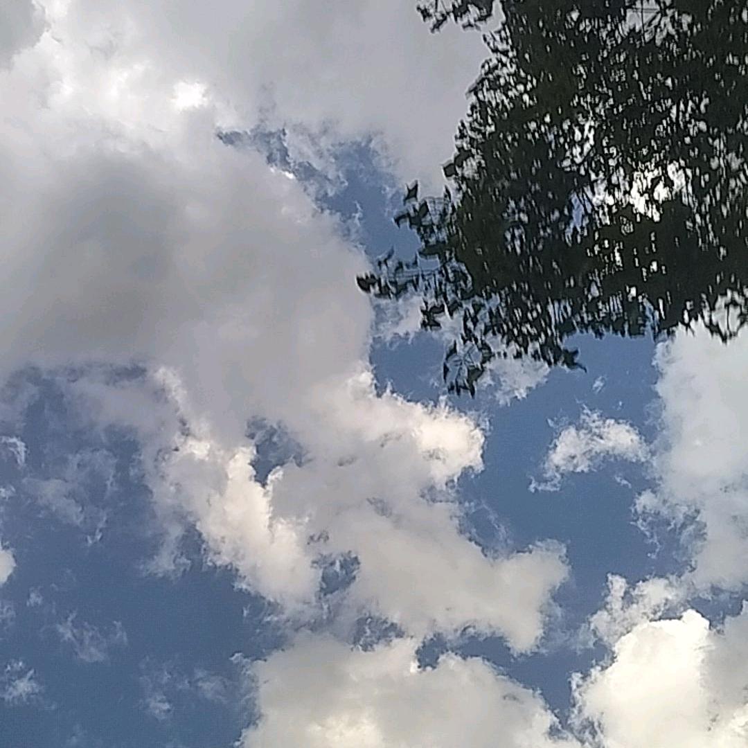 乡村的绿