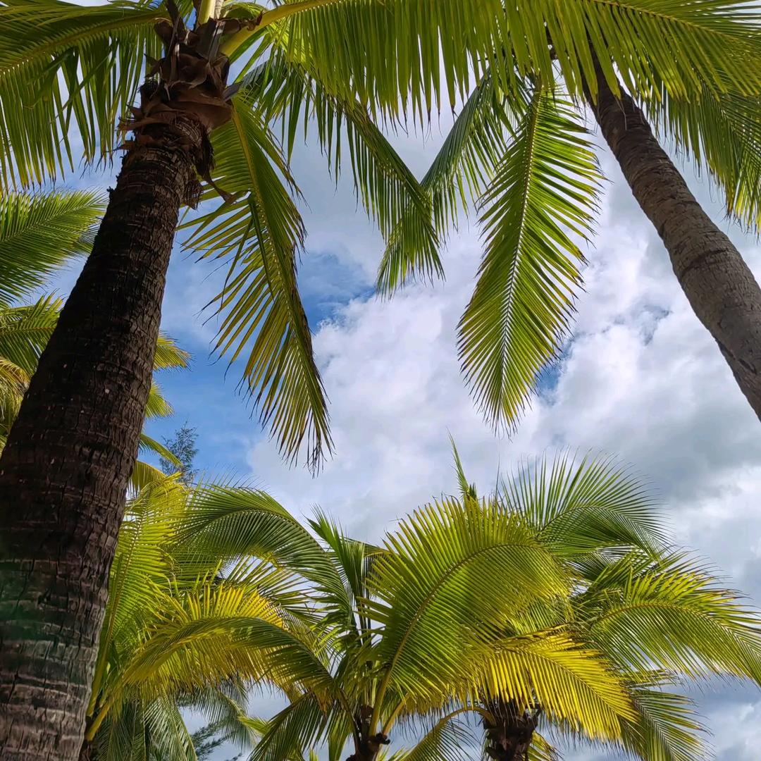 测准每一度🇨🇳