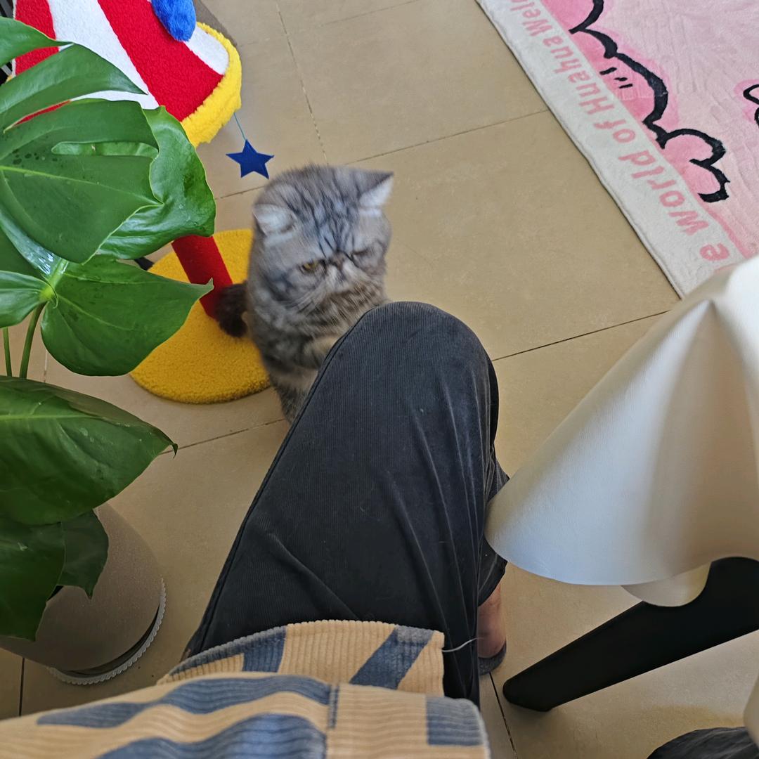 真的不想打工了