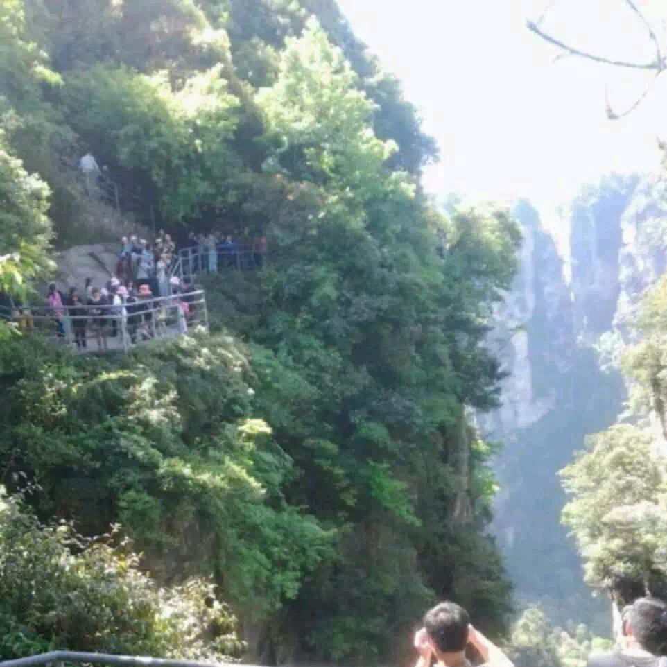 七五年的兔姐