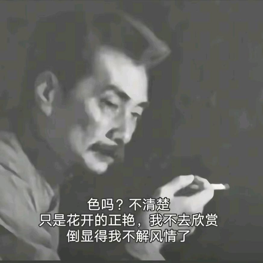 KK·小低调（2300莲花 9.9）