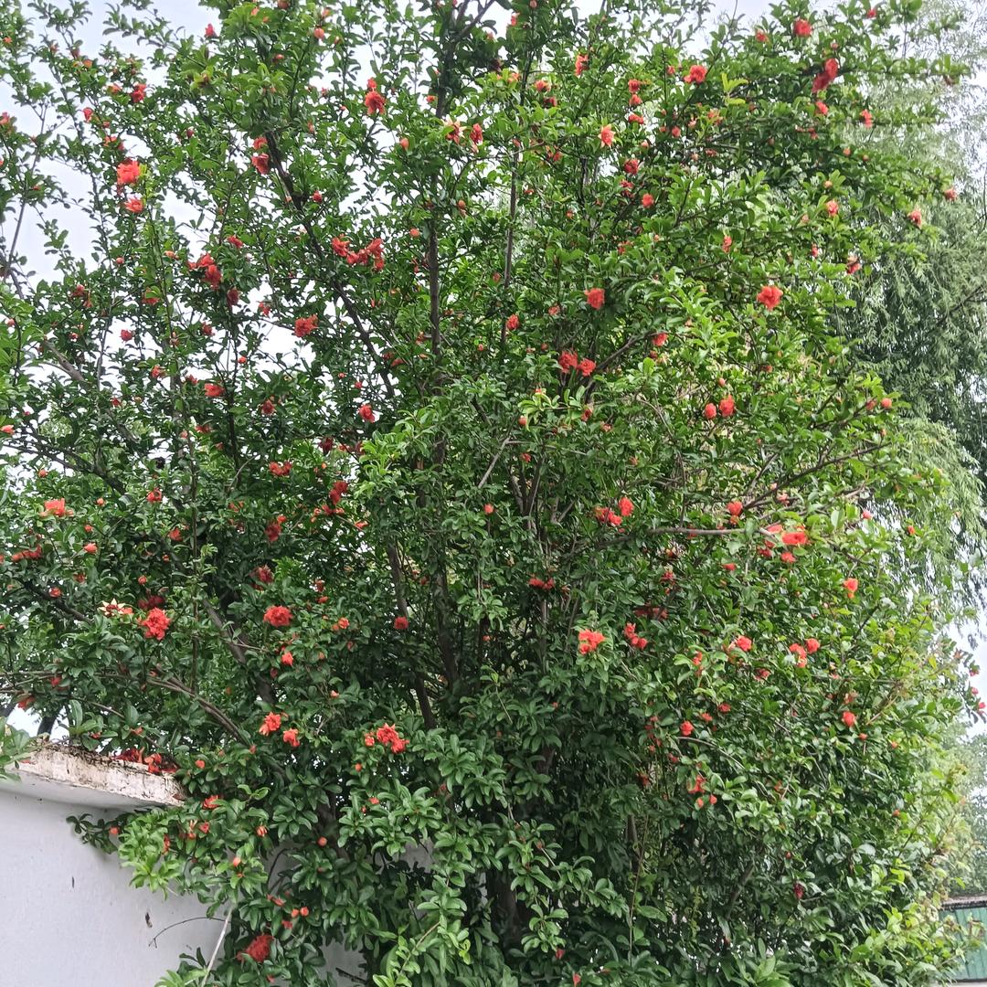 看不透的人心。