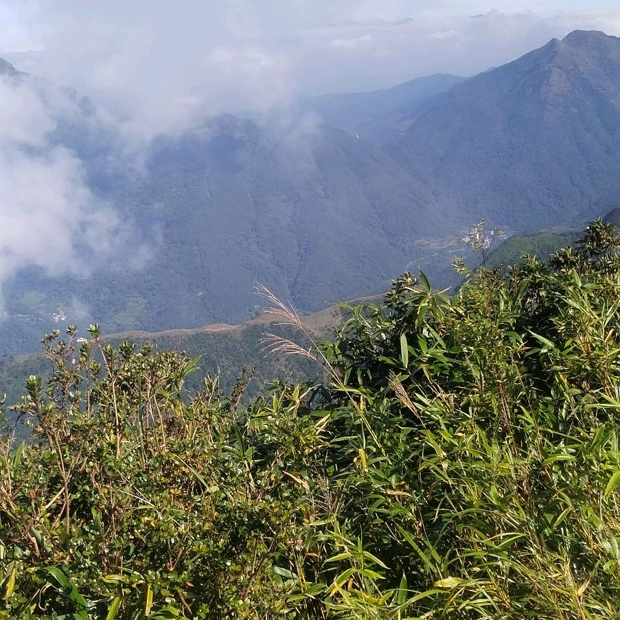 忘记过去，展望未来