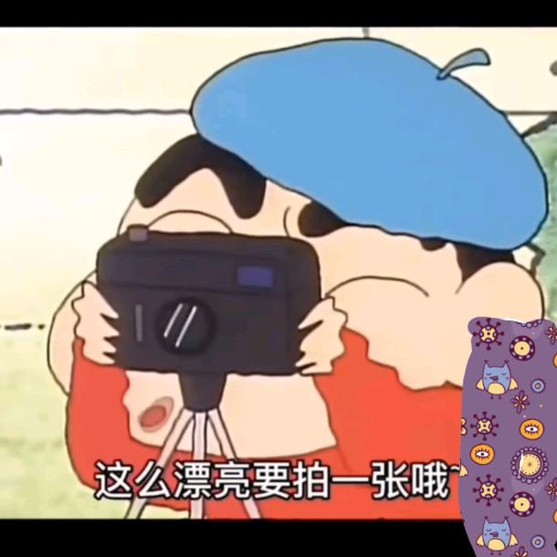 蜡笔小新新