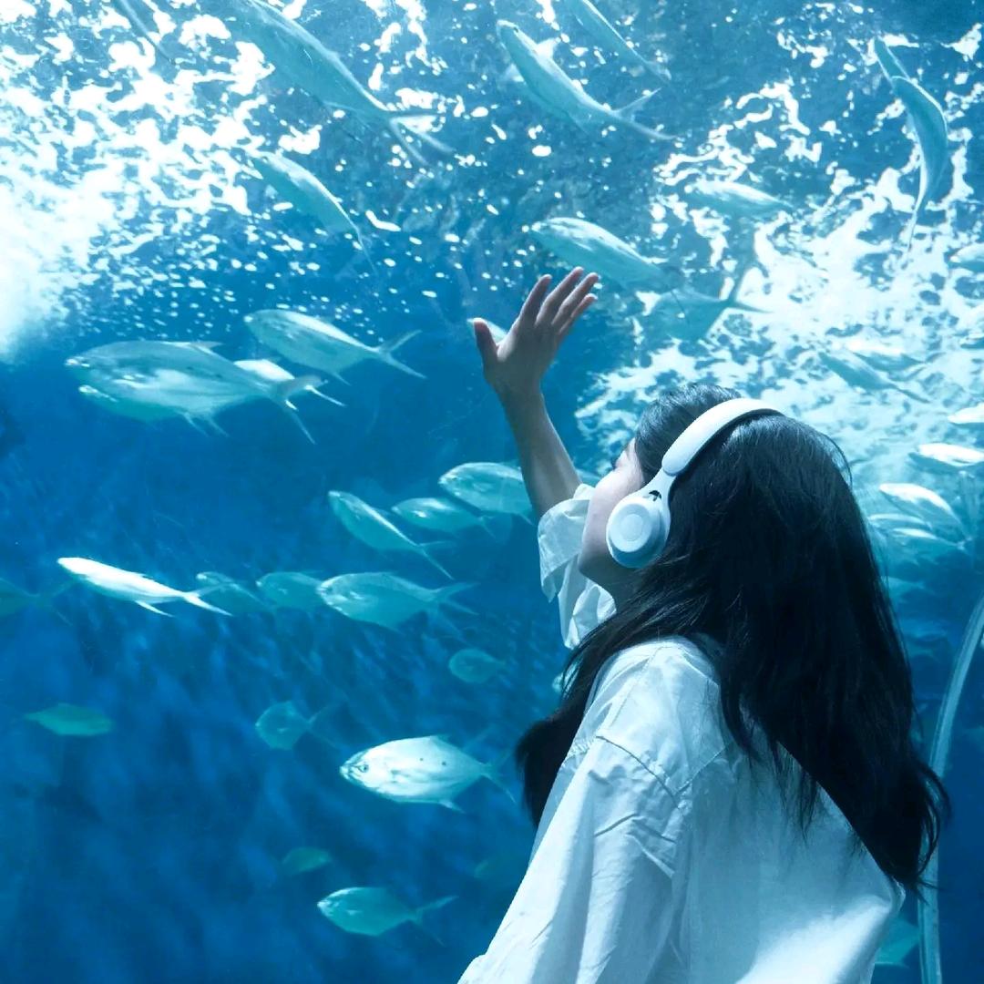 橘子海ʚ
