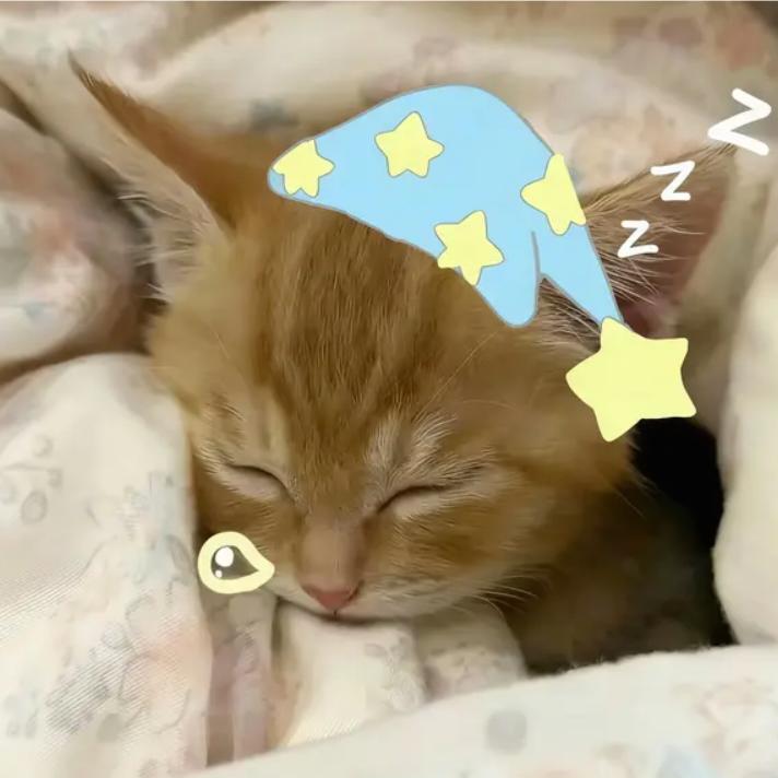 社恐小蟑( •͈ᴗ•͈)