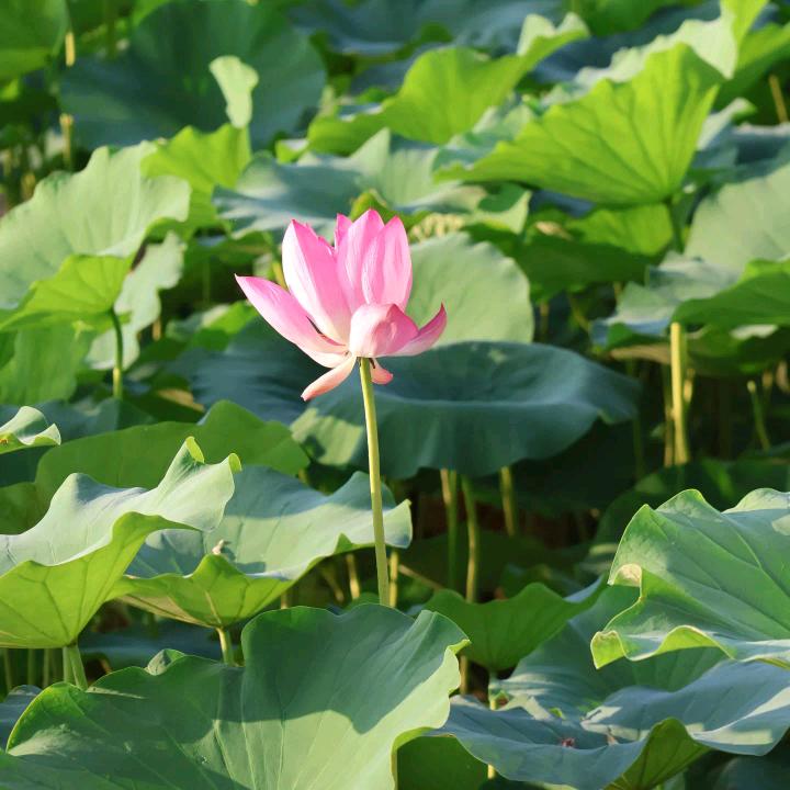 一同·原创穿搭