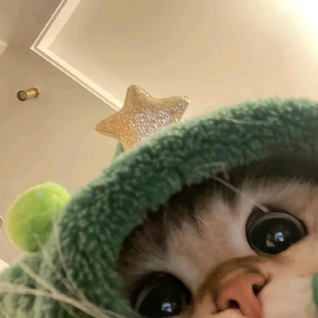 一只阿yu