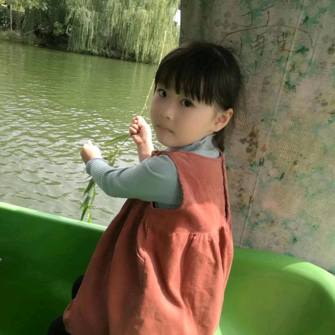 苹果wp
