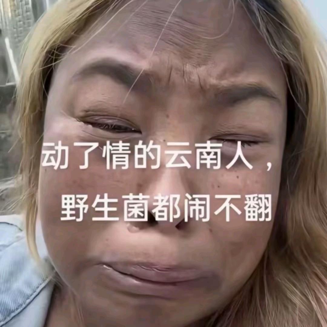 老品种婆娘