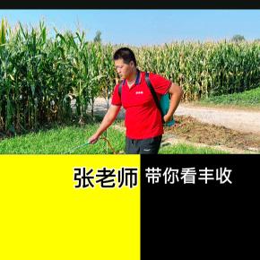 张老师带你看丰收