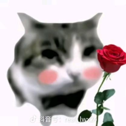 十三行批发