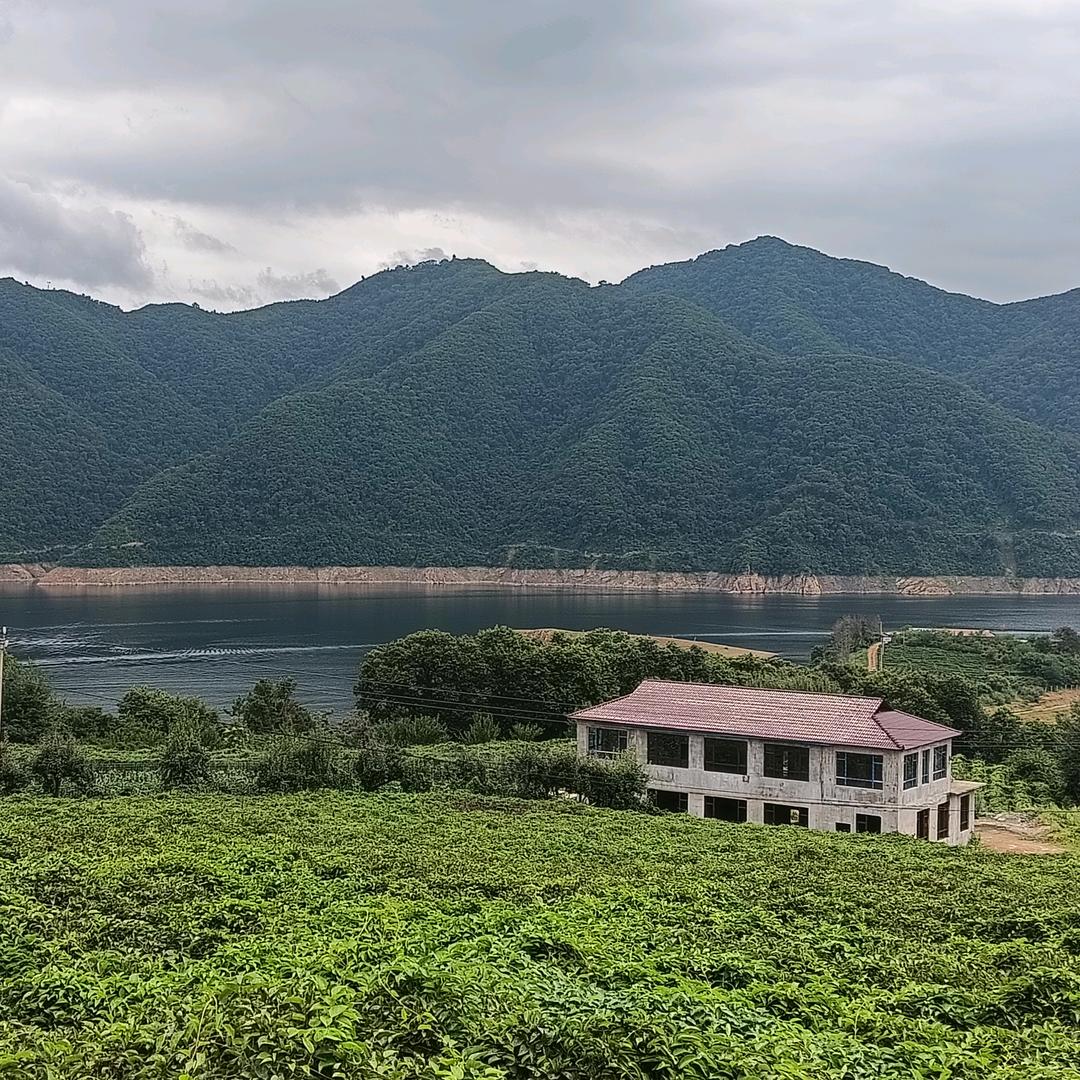 勿善勿恶