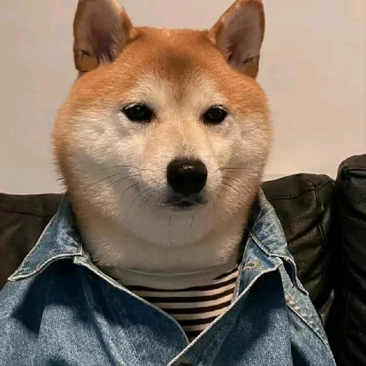 武庸