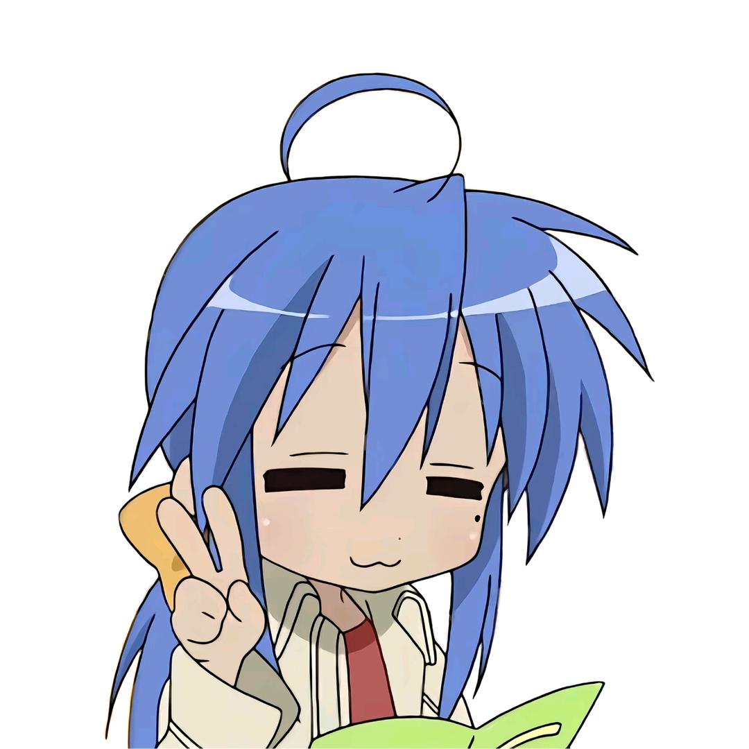 决议