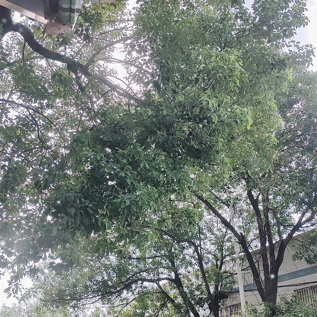 我在路灯下等你