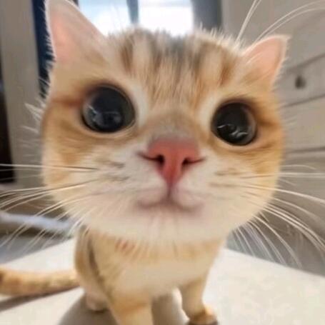 Dream.美甲饰品店