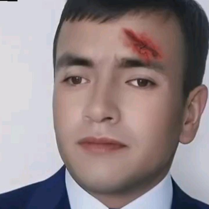 🌷开心的一天🌷